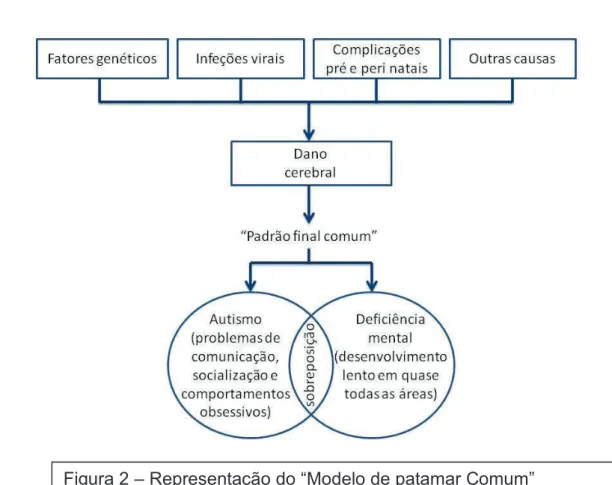 Figura 2 – Representação do “Modelo de patamar Comum” 