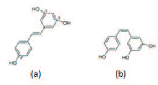 Figura 4: Estrutura química de (a) trans-RV e (b) cis-RV. Adaptado de [65]. 