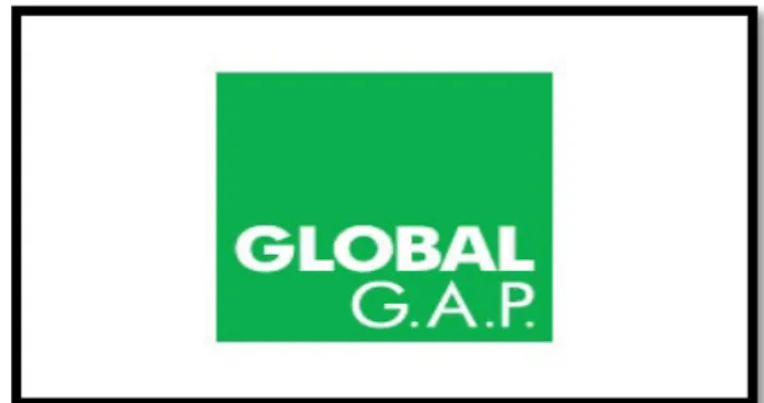 Figura 4: Logo GlobalG.A.P. Fonte: GlobalG.A.P. 2014 