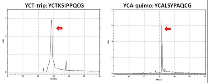 Figura 9: Perfis cromatográficos em sistema HPLC dos peptídeos cíclicos sintetizados (fase estacionária: coluna  C18 - 250 mm x 10mm – Lichrocart 250-10 Purospher)