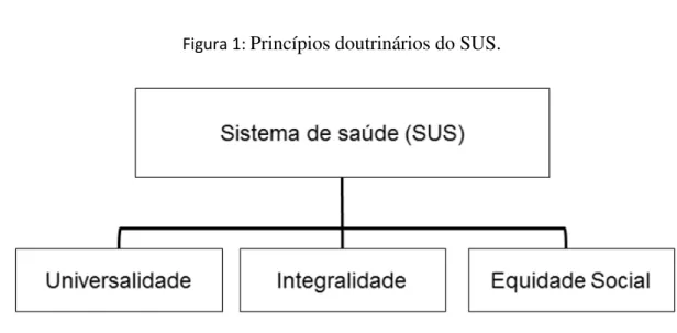 Figura 1:  Princípios doutrinários do SUS. 