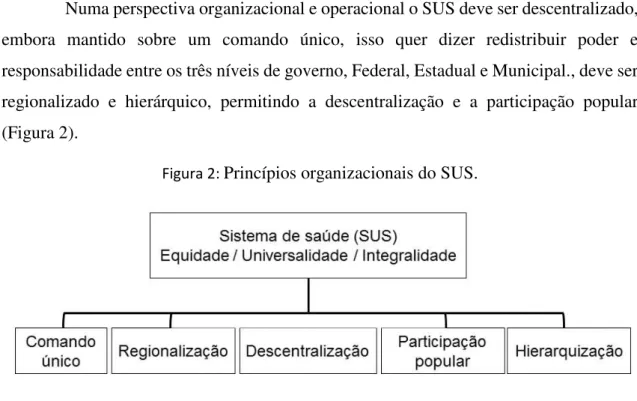 Figura 2:  Princípios organizacionais do SUS.