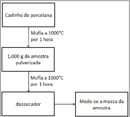 Figura 1.18: Fluxograma representando as etapas envolvidas na determinação do PPC. 