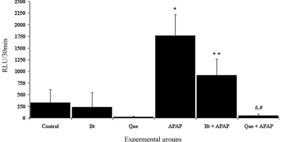 Fig. 5. Effect of the hydroethanolic extract of Baccharis trimera and quercetin on the production of ROS in the neutrophils of rats 24 h after treatment with APAP