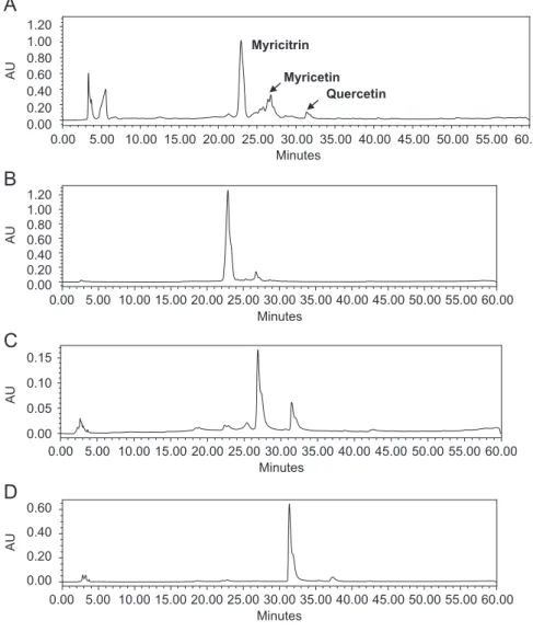 Fig. 1. Fingerprint of ethyl acetate extract (AE) (A). The isolated compounds were identiﬁed in the extract by comparing their retention times, myricitrin (B), myricetin (C) and quercetin (D)