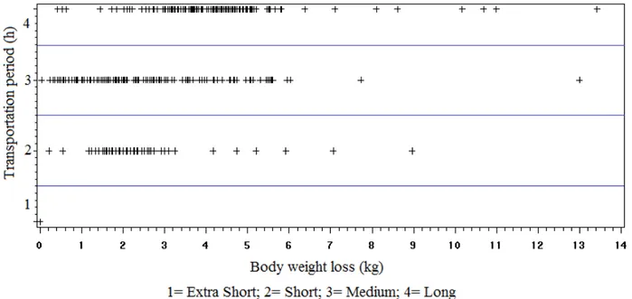 FIGURE  1.  Loss  of  body  weight  in  pigs  transported  from  the  farm  to  the  slaughterhouse,  per  transportation period.