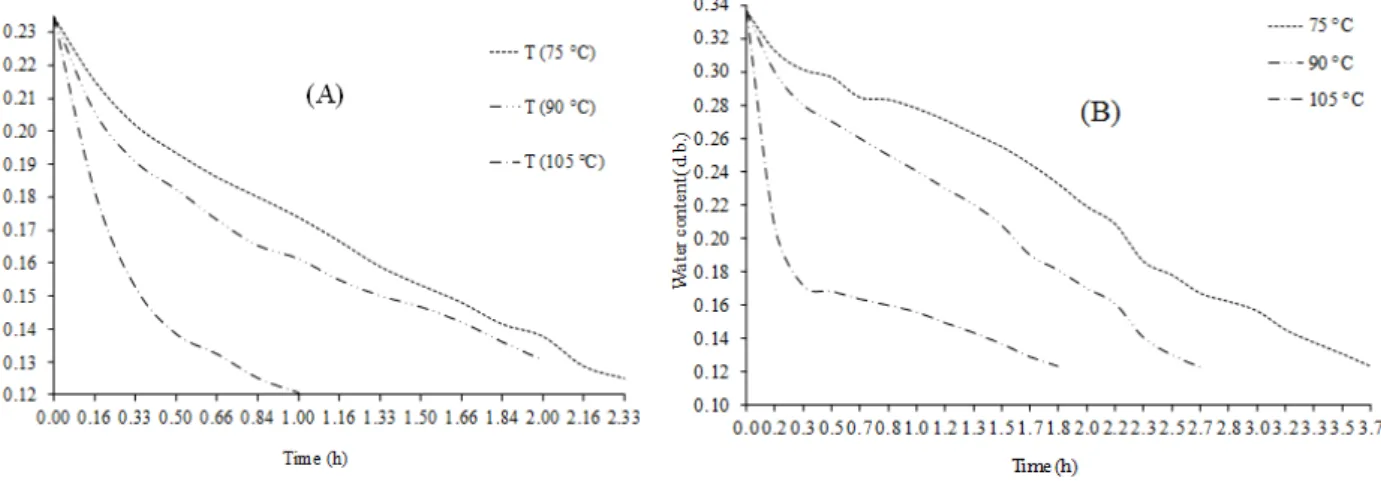 FIGURE 1. Curves of drying of soybeans with initial moisture content of 19% (w.b.) (A), and 25% 