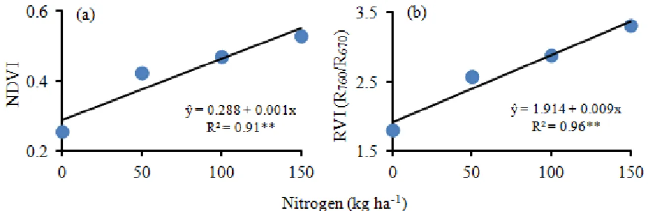 FIGURE 2. Relationships between NDVI (a) and simple ratio (RVI) (b) indexes of the Crop Circle  ACS-470 active sensor and the nitrogen rates applied in topdressing in the wheat crop