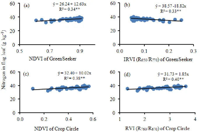 FIGURE 3. Relationships between the readings of the NDVI (a) and the inverse ratio (IRVI) (b) of  the GreenSeeker 505 active sensor, and of NDVI (c) and the simple ratio (RVI) (d) of  the Crop Circle ACS-470 active sensor, and the nitrogen content in the w
