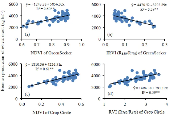 FIGURE 4. Relationships between the readings of the NDVI (a) and the inverse ratio (IRVI) (b) of  the GreenSeeker 505 active sensor, and of NDVI (c) and the simple ratio (RVI) (d) of  the Crop Circle ACS-470 active sensor, and the biomass production of the