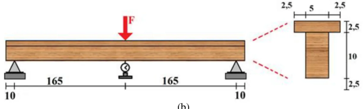 FIGURE  1.  Three-point  static  bending  test  in  beams  with  &#34;I&#34;  (a)  and  &#34;T&#34;  (b)  profiles  [nominal  dimensions in cm]