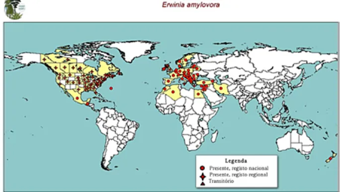 Fig. 1. Distribuição mundial do Fogo Bacteriano (EPPO, 2012).