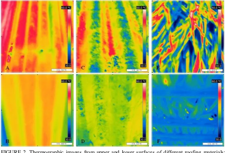 FIGURE  2.  Thermographic  images  from  upper  and  lower  surfaces  of  different  roofing  materials: 