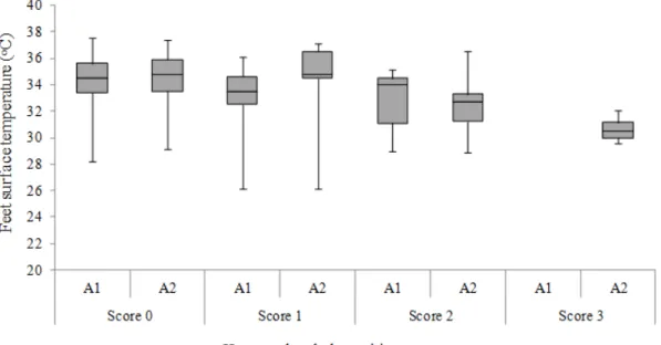 FIGURE 2. Minimum broiler  feet surface temperature  in each pododermatitis score  in each studied  house