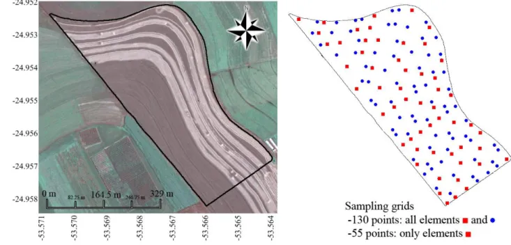 FIGURE  1.  Experimental  field  and  its  sampling  grid.  All  red  and  blue  elements  represent  the      130-point  grid;  red-only  elements  represent  the  55-point  grid