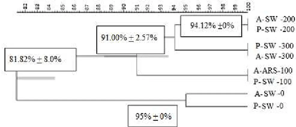FIGURE  2.  Genetic  similarity  dendrogram  of  soil  bacterial  communities  under  different  doses  of  SW and MF
