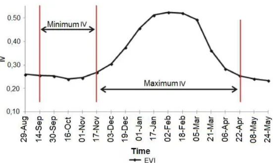 FIGURE 2. Average spectro-temporal profile of  irrigated rice  in Rio Grande do Sul;  minimum and  maximum EVI periods are marked over the cycle