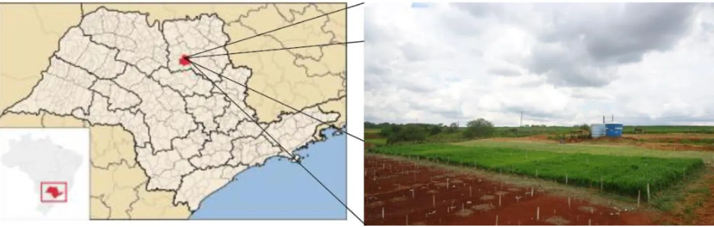 FIGURE 1. Location of the study area. 