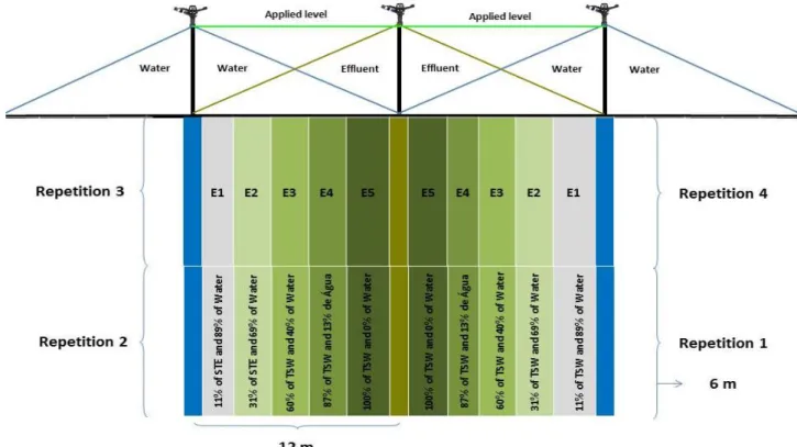 FIGURE 2. Experimental schemes with treatments (E5 = 1.0; E4 = 0.87; E3 = 0.60; E2 = 0.31 and  E1 = 0.l1) distributed in strips with a gradual distribution of STE in water