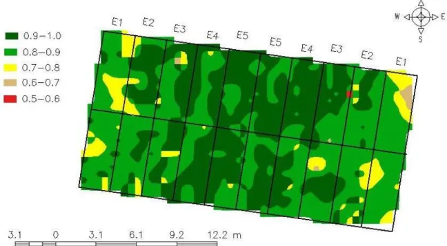 FIGURE  3.  Spatial  distribution  of  Normalized  Difference  Vegetation  Index  (NDVI)  in  a  experimental  area  of  Brachiaria  brizantha  fertigated  with  doses  of  sewage  treated  effluent (E5 = 1.0; E4 = 0.87; E3 = 0.60; E2 = 0.31 and E1 = 0.11)