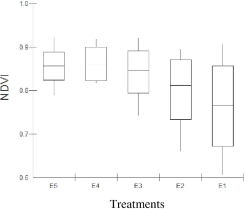 FIGURE 4. Box-plot for Normalized Difference Vegetation Index (NDVI) in Brachiaria brizantha  fertigated with doses of sewage treated effluent (E5 = 1.0; E4 = 0.87; E3 = 0.60; E2 =  0.31 and E1 = 0.11) during 2014