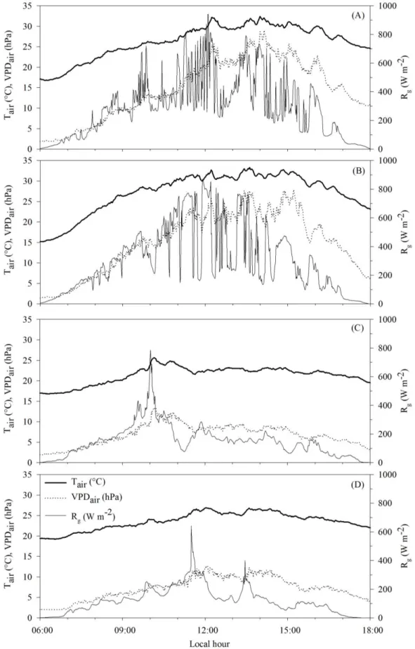 FIGURE 2. Changes of the air temperature (T air ), water vapor saturation pressure deficit in the air  (VPD air ) and global solar radiation (R g )