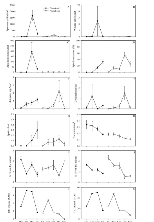 FIGURE 1   Population dynamics of apterous and winged Aphis gossypii, Adialytus ssp. (number of aphids mummies,