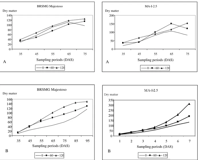 Figure 1 – Regression equations of total dry matter (g/5 plants) of the genotypes BRSMG Majestoso and MA-I-2.5 as a function of the sampling periods in the three N levels (0, 60, and 120 kg/ha) in the harvests from sowing in November 2005 (A) and July 2006