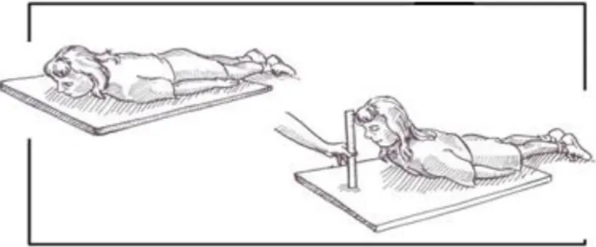 Ilustração 5 - Força e Flexibilidade do Tronco