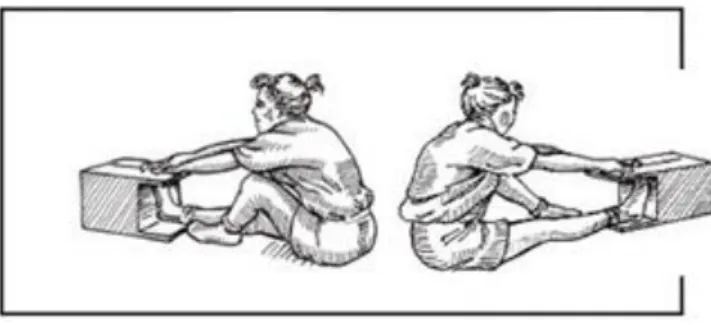 Ilustração 6 - Flexibilidade dos Músculos Posteriores da Coxa 3.3.2. Avaliação do Alinhamento Postural 