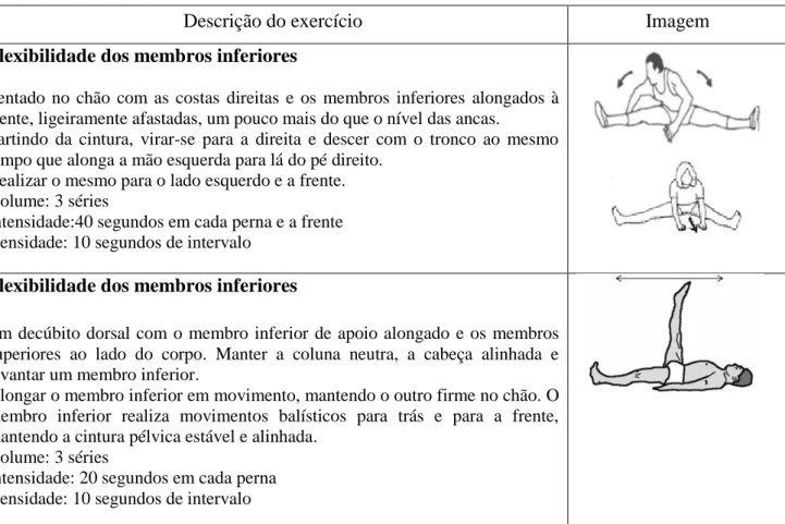 Tabela 4 - Exercícios da flexibilidade e da força