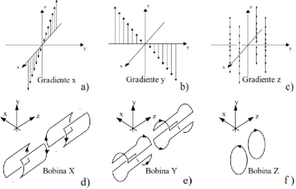 Fig. 12 Efeito do gradiente sobre o campo magnético principal  (Bathista &amp; Nogueira, 2002) 