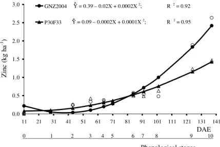 Figure 2 – Total zinc accumulated, in kg ha -1 , by two maize hybrids, as a function of phenological stages (days after emergence – DAE)