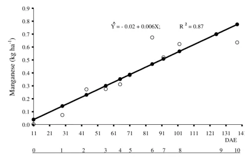 Figure 3 – Total manganese accumulation, in kg ha -1 , considering the average of two maize hybrids, as a function of phenological stages (days after emergence – DAE)