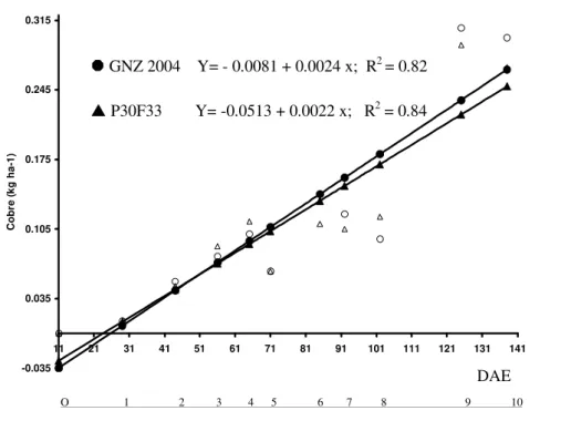 Figure 4  – Total copper accumulation,  in kg  ha -1 , considering the average of  two maize hybrids, as a function  of phenological stages (days after emergence – DAE)