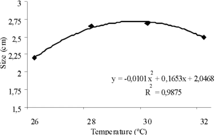 Figure 2 – Average size (cm) of tilapia fry after 28 days of treatment, reared in different temperature of storage regardless of 17- -methyltestosterone doses in diets.