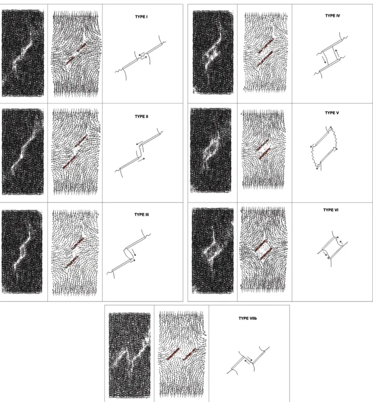 Fig. 11. Types of coalescence obtained in the computational simulations using discrete elements