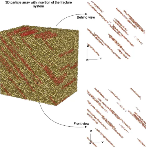 Fig. 15. Three dimensional model. Particle arrangement with an inserted system of discontinuities.