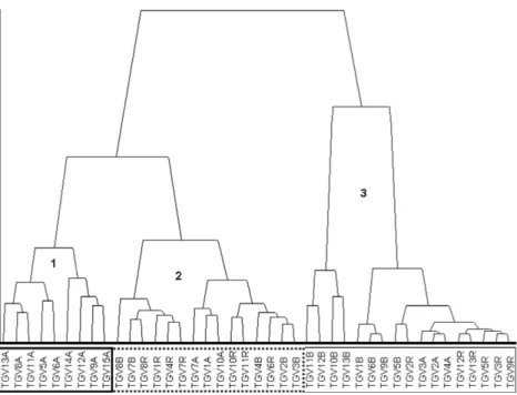 Fig. 16. Hierarchy-agglomerative method applied to the signals (raw data).