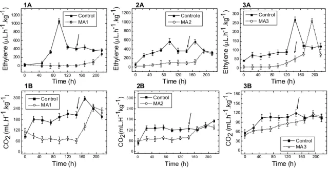 Fig. 1. The graph (1a) shows the ethylene emission and (1b) the respiratory rate for  passion fruit held in modified atmosphere [100% N 2  and 0% O 2  (MA1)] and  ambient atmosphere [78% N 2  and 21% O 2  (control)] as a function of storage time