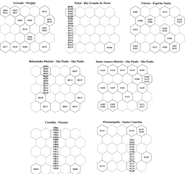 Fig. 3. General pro ﬁ le of distribution of all selected samples, representing all Brazilian regions studied, after treatment with Kohonen neural network