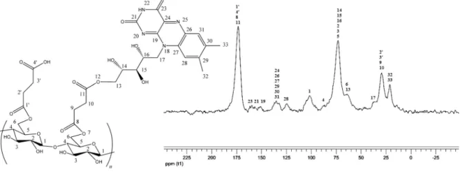 Fig. 3. Solid-state 13 C CP/MAS NMR spectrum of MC 3.