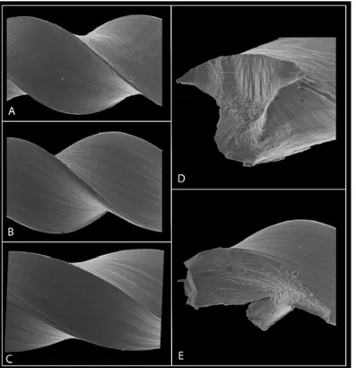 Figura 2. Micrografias obtidas na microscopia eletrônica de varredura dos instrumentos Angelus (A), CC Cord (B) e Dentsply (C), exibindo suas su- su-perfícies de acabamento