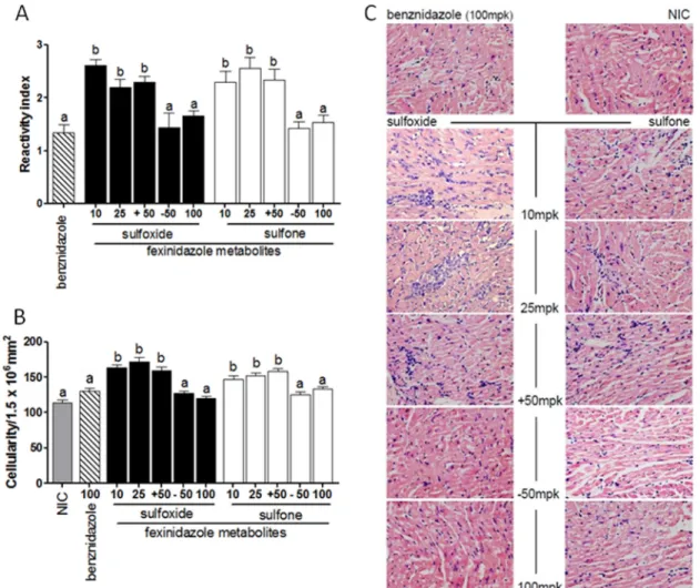 FIG 5 Anti-Trypanosoma cruzi activity of fexinidazole metabolites in mice infected with Y strain