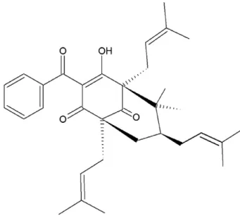 Fig. 1. Natural benzophenone, 7-epiclusianone.