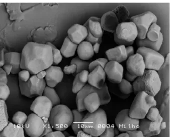 FIGURE 1   Scanning electron micrographs of starch granules from green banana (1500 x).
