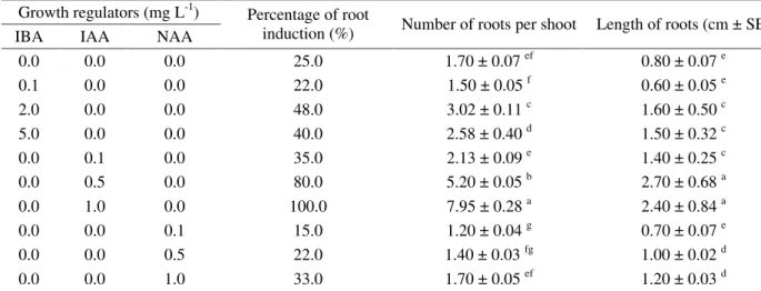 Table 4 – Effect of growth regulators on the number of roots per shoot of Cecropia  glaziovii after 30 days of culture.