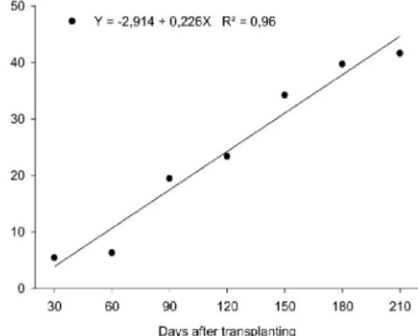 Figure 2 – Stem diameter of calla lily plants in function of days after transplanting.