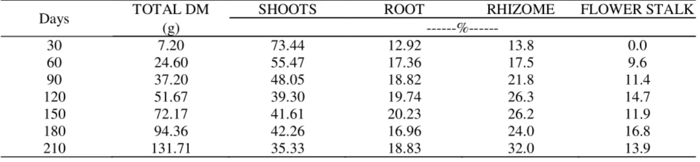 Figure 7 – Rhizome length (RL) and diameter (RD) in calla lily plants in function of days after transplanting.