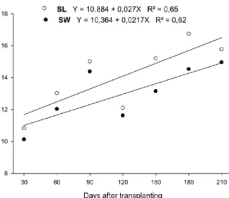 Table 2 – Average number of flower stalks per calla lily plant  at  intervals  and  accumulated,  in  function  of  the